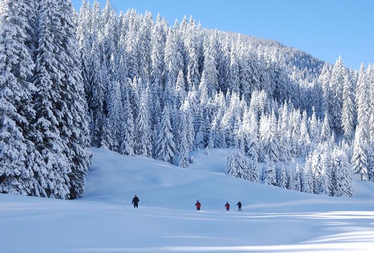 Winter holiday for families in South Tyrol