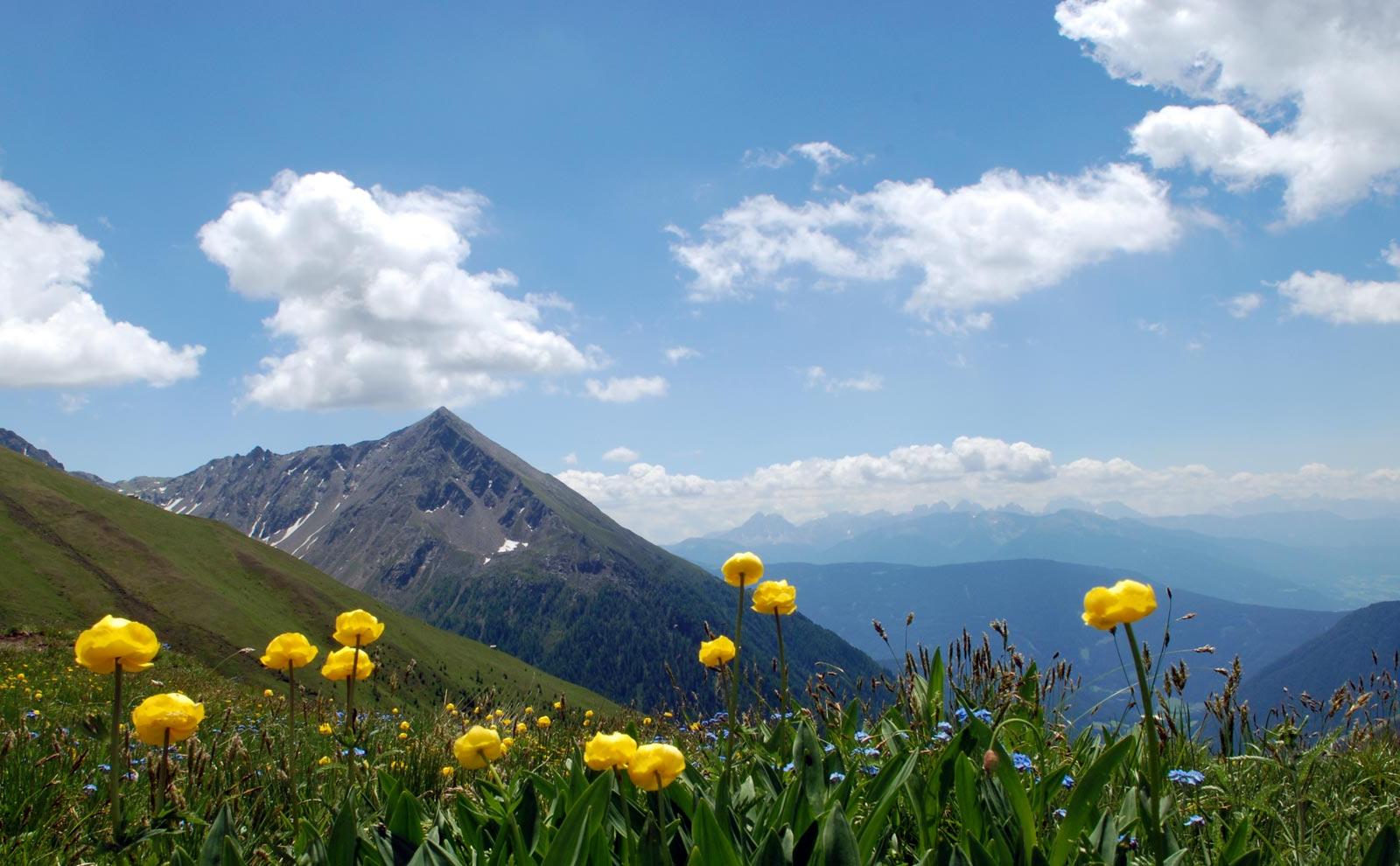 Hiking holiday for families in the Pusteria Valley